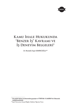 Kamu İhale Hukukunda &ldquo;Benzer İş&rdquo; Kavramı ve İş