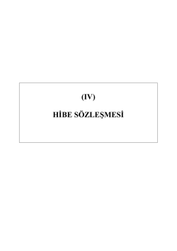 (IV) HİBE S&Ouml;ZLEŞMESİ