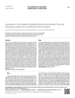 Loxosceles: A Case Healed Completely Without Any
