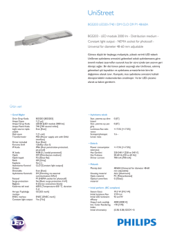 UniStreet BGS203 kaldırım aydınlatma armat&uuml;r&uuml;, k&uuml;&ccedil;&uuml;k model
