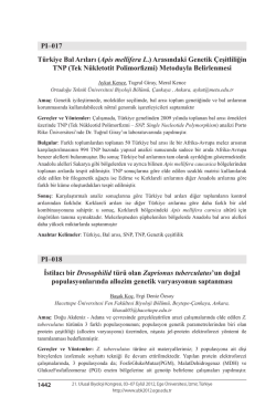 PI&ndash;017 T&uuml;rkiye Bal Arıları (Apis mellifera L.) Arasındaki Genetik