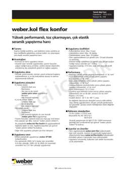 Teknik Bilgi F&ouml;y&uuml;