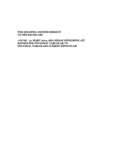 31 Mart 2014 - TEB Holding A.Ş.