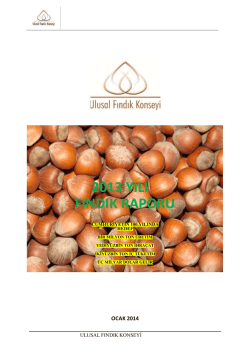 2013 yılı fındık raporu - Sakarya Ticaret Borsası
