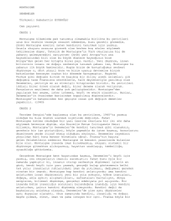 MONTAIGNE DENEMELER T&uuml;rk&ccedil;esi: Sabahattin EYUBOĞLU Cem