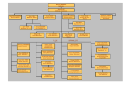 Teşkilat Şeması