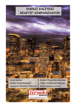 Reaktif Kompanzasyon katalog 06.2014