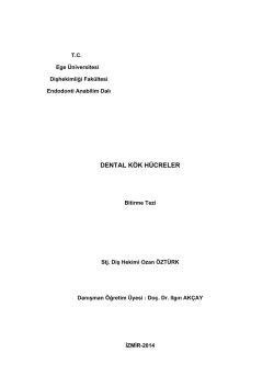 1258 - Ege Üniversitesi Diş Hekimliği Fakültesi