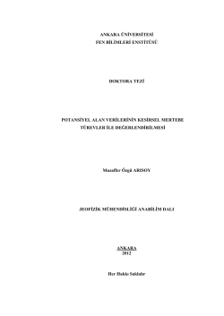 potansiyel alan verilerinin kesirsel mertebe t&uuml;revler ile