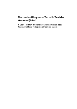 01 Ocak-31 Mart 2014 Hesap D&ouml;nemine Ait Mali Tablolar ve