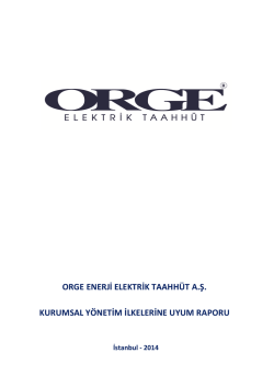 Kurumsal Y&ouml;netim İlkelerine Uyum Raporu