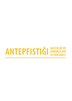 Antepfıstığı - TC Gıda Tarım ve Hayvancılık Bakanlığı