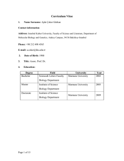 Curriculum Vitae