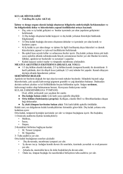 KULAK HİSTOLOJİSİ &bull; Yrd.Do&ccedil;.Dr.Ayfer AKTAŞ İşitme ve denge