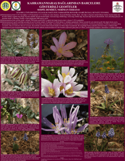 KAHRAMANMARAŞ DAĞLARINDAN BAH&Ccedil;ELERE G&Ouml;STERİŞLİ