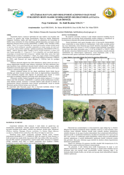 Küçükbaş Hayvanların Beslenmesi Açısından Bazı Maki Türlerinin