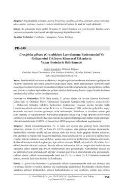 Uresiphita gilvata - Biyoloji Kongreleri