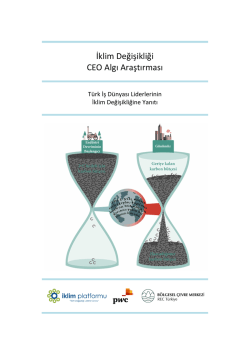 Iklim_Degisikligi _CEO_Algı_Arastirmasi_Ozet