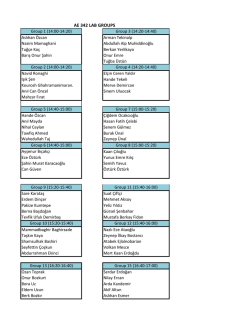 AE 342 LAB GROUPS