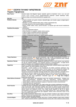 302 - ZNR CEOFIX FAYANS YAPIŞTIRICI