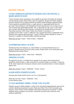 Pdf Olarak İncele