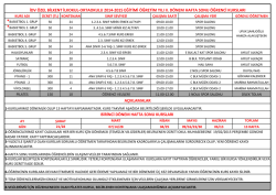 idv &ouml;zel bilkent ilkokul-ortaokulu 2014