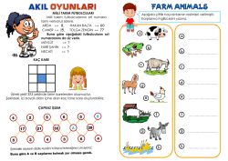 3 sınıf tekrar dergisi 19. sayı &ndash; akıl oyunları