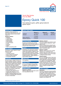 Epoxy Quick 100