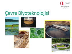 Prof. Dr. Filiz Beng&uuml; Dilek