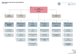 Organigramm des kiz der Universit&auml;t Ulm