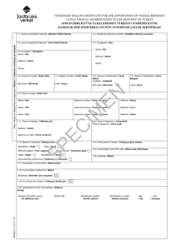 IF_OrnekKodlar17Mart2015
