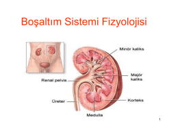 Boşaltım Sistemi Fizyolojisi
