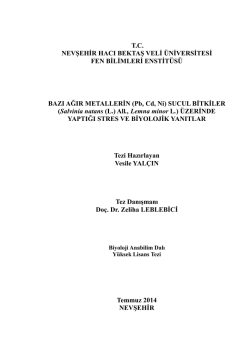 Dosyayı İndir - Nevşehir Hacı Bektaş Veli &Uuml;niversitesi A&ccedil;ık Arşiv