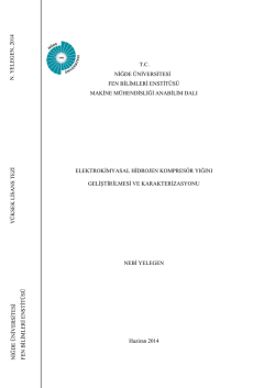 ELEKTROKİMYASAL HİDROJEN KOMPRES&Ouml;R YIĞINI