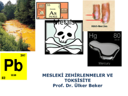 Heavy metal pollution - &Ccedil;alışma ve Sosyal G&uuml;venlik Bakanlığı