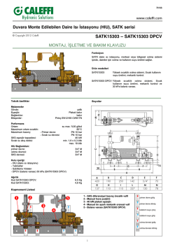SATK15303 &ndash; SATK15303 DPCV