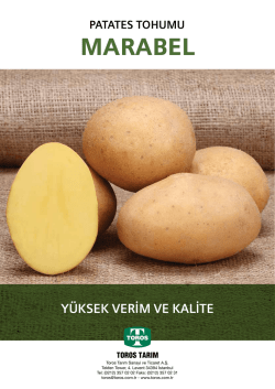 MARABEL