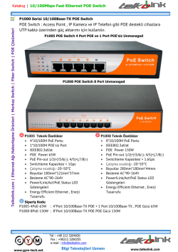 P1000 Serisi 10/100Base-TX POE Switch