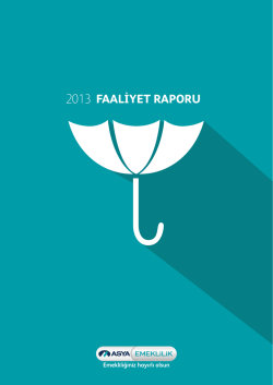 AE faaliyet_raporu Bolum1
