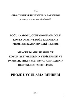 DAP-GAP-KOP ve DOKAP Uygulama Rehberi