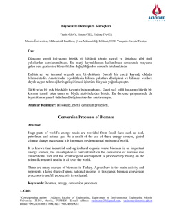 Biomass Conversion Processes