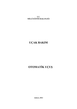 Avionic Otomatik U&ccedil;uş - Sivil Havacılık Haberleri | Airport Haber
