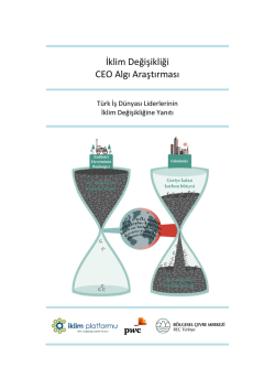 İklim Değişikliği CEO Algı Araştırması