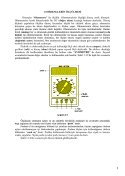 Deney F&ouml;y&uuml;-1