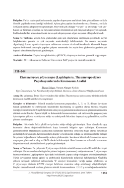 Lepidoptera, Thaumetopoeidae