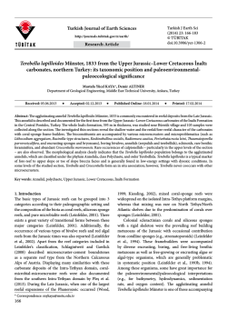 Terebella lapilloides M&uuml;nster, 1833 from the Upper