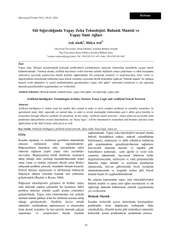 Bulanık Mantık ve Yapay Sinir Ağları