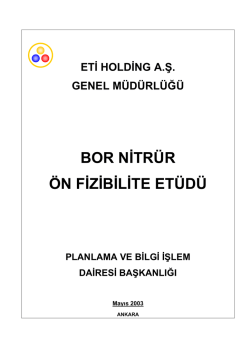 Bor Nitr&uuml;r &Ouml;n Fizibilite Et&uuml;d&uuml;