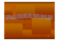 GERiLME REFLEKSi