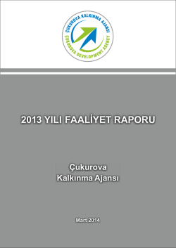 2013 yılı faaliyet raporu - &Ccedil;ukurova Kalkınma Ajansı